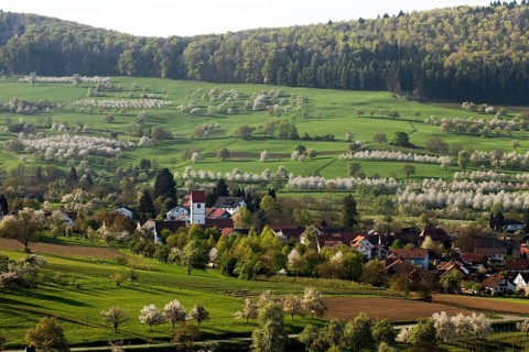 Townscape