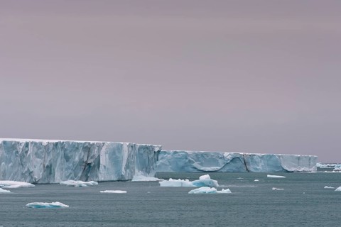 Brasvellbreen