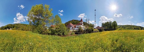 Village of Altdorf with a flower meadow
