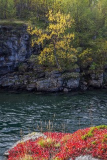 Rocks at the Abiskojakka river