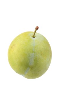 Ontario plums