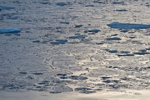 Pancake ice