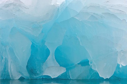 Detailed view of the ice