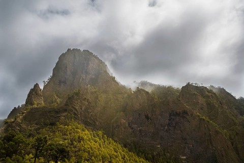 Rocks covered with pine trees
