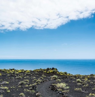 Hiking trail through a lava landscape