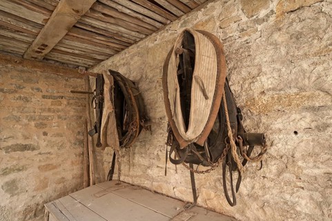 Horse collars