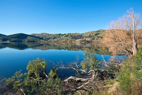 Lake Horowhenua