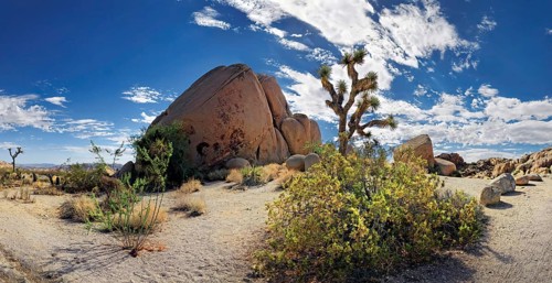 Huge granite rocks of Split Rocks and green Mojave Yucca or Spanish Dagger (Yucca schidigera)
