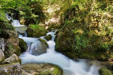 Brook of Myra Falls