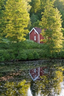 Red and white house on a lake between birch trees