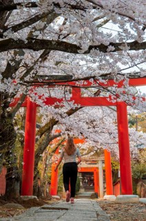 Yoshida shrine