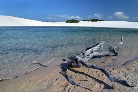Freshwater lagoon