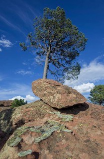 Rock formations in the Pinares de Rodeno Nature Reserve