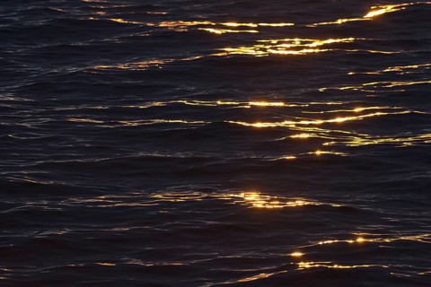 Evening light on the sea