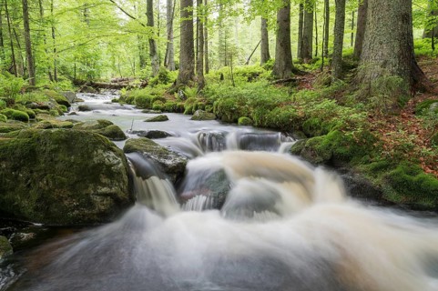 Kleine Ohe mountain stream