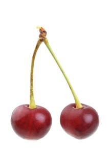 Sour cherries of the Schattenmorelle variety