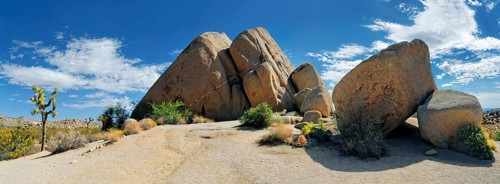 Huge granite rocks of Split Rocks with a Joshua Tree or Palm Tree Yucca (Yucca brevifolia)