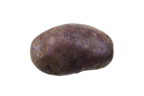 Potato