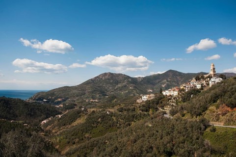 View of Legnaro