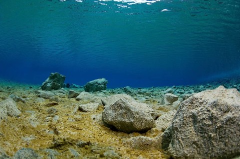 Underwater view