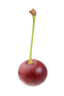 Sour cherry