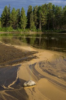 Pollen form patterns in the Saggat Lake near the island of Arrenjarka