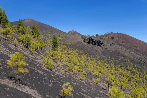 Volcano San Martin