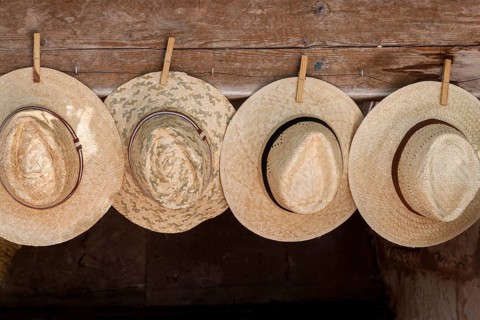 Straw hats for sale