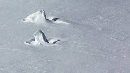 Snow sculptures
