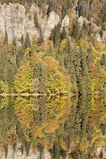 Lake Feldsee and Feldberg mountain