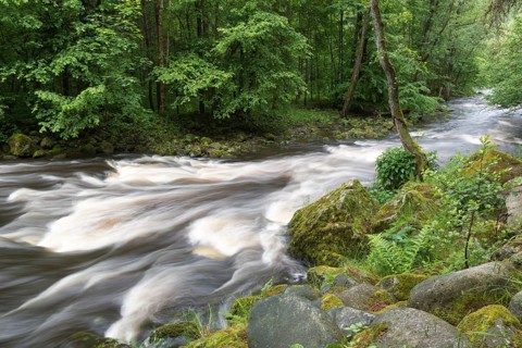 Buchberger Leite mountain stream gorve