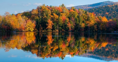 Autumnal trees with reflection in lake