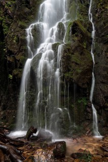 Waterfall in the forest