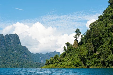 Forested karst limestone mountains with jungle vegetation rising from the water