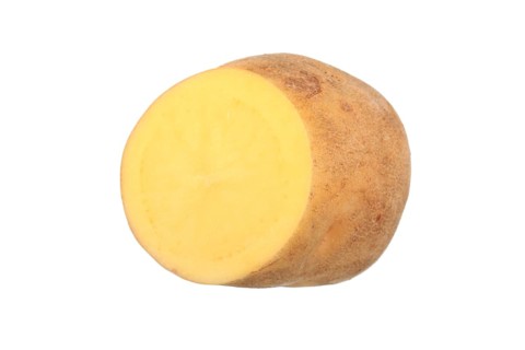 Potato