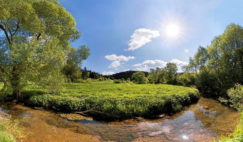 Loop of the Morsbach stream