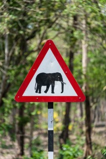 Traffic signs