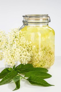 Preparation of elderflower liqueur