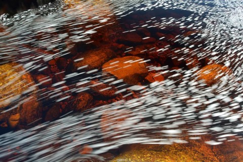 Typical foam structures on the black river water