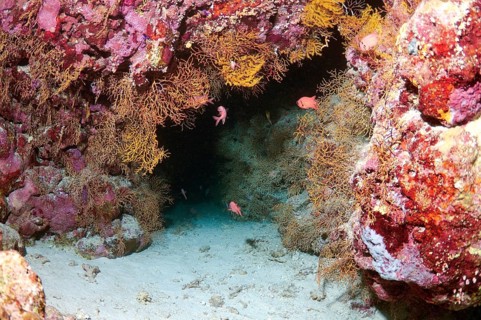 Underwater cave
