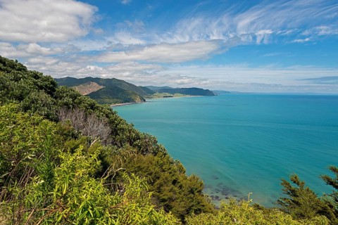 Coastal landscape at East Cape