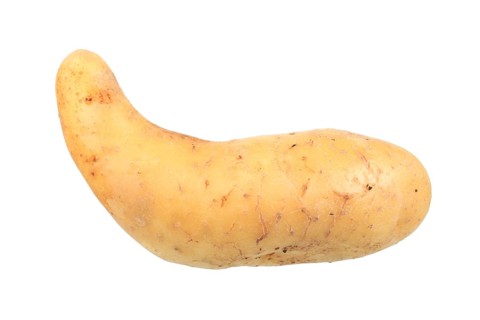 Potato