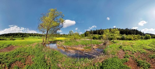 Loop of the Morsbach stream