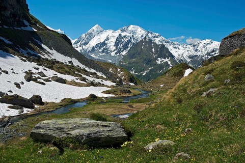 Valley with the Louvie stream in an alpine landscape with the peaks of Combin de Corbassiere Mountain