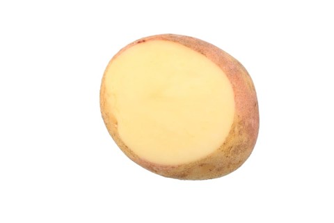 Potato