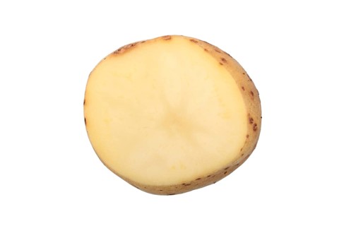 Potato