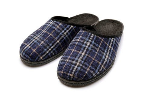 Pair of slippers