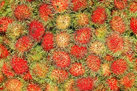 Rambutans (Nephelium lappaceum) for sale on a market