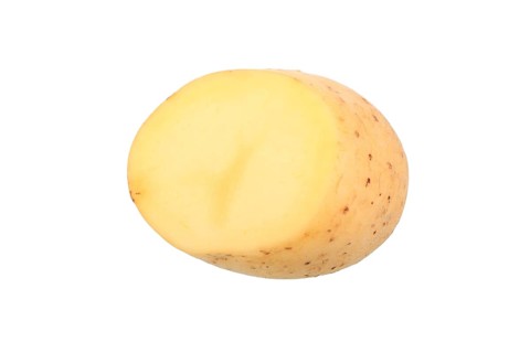 Potato