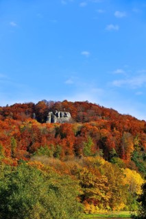Autumn coloured trees on Mt Glatzenstein